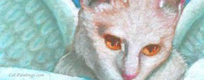 Cat Paintings Banner