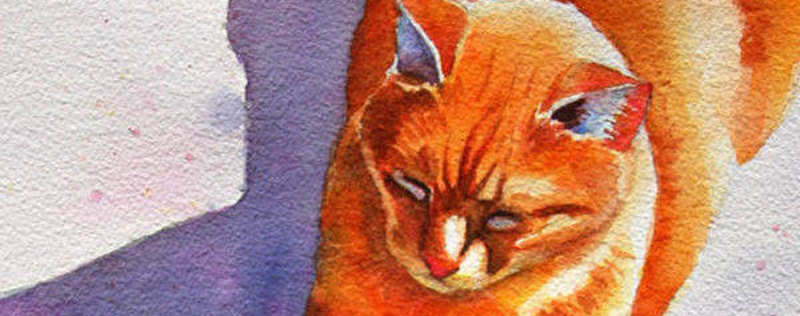 Cat Paintings Banner