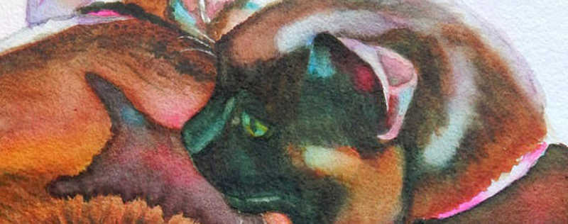 Cat Paintings Banner