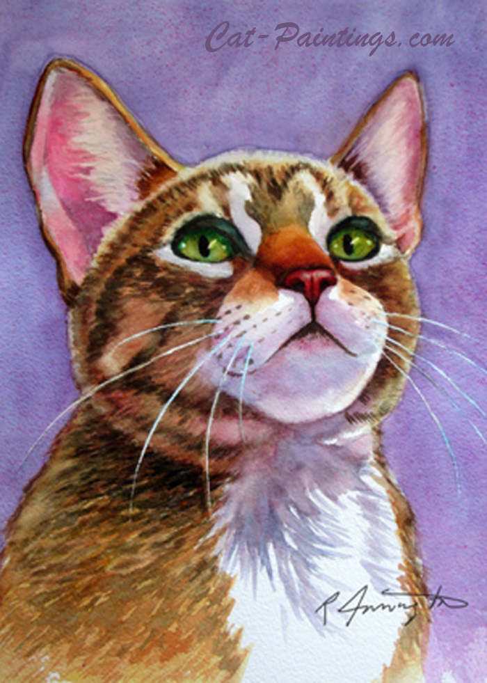 curiosity cat tabby pictures cats