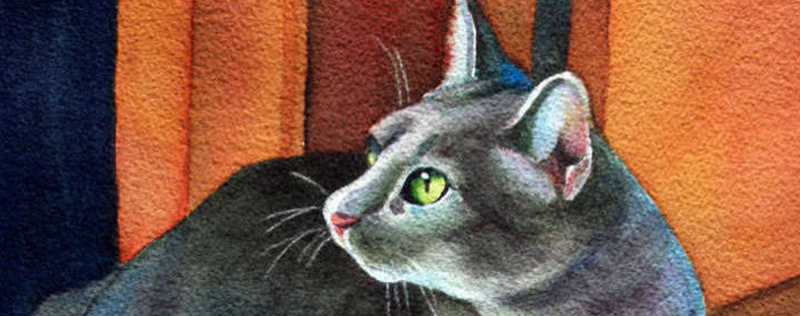 Cat Paintings Banner