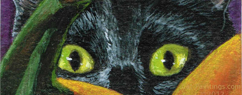 Cat Paintings Banner