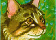 Maine Coon Cat Christmas Card