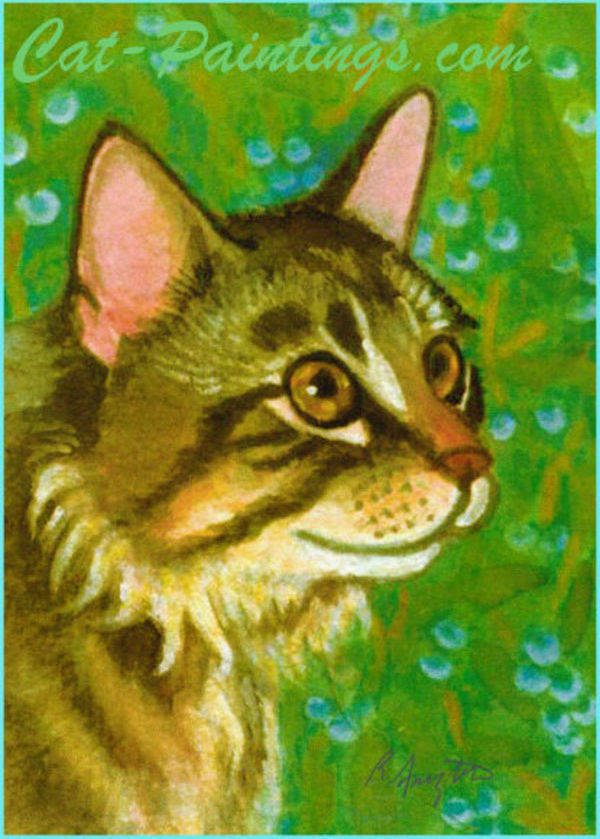 Christmas cat mistletoe Maine Coon picture