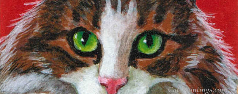 Cat Paintings Banner