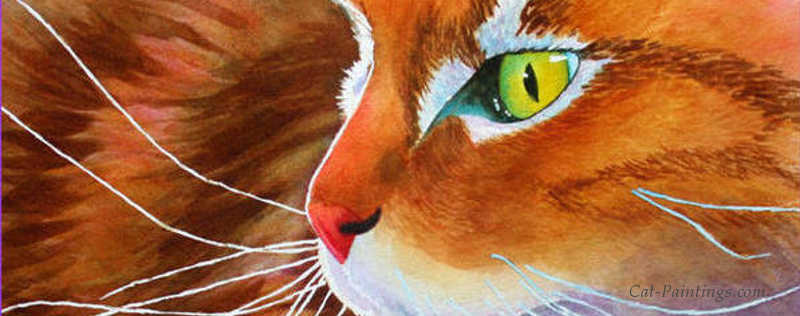 Cat Paintings Banner
