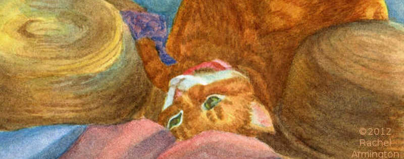 Cat Paintings Banner