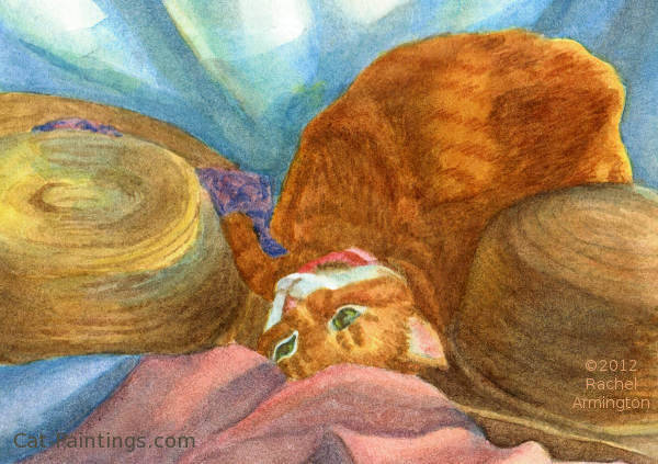 tabby cat Manx picture