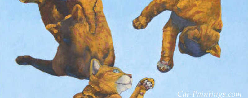 Cat Paintings Banner
