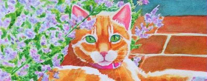 Cat Paintings Banner
