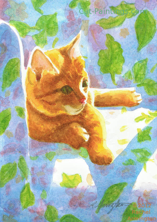 tabby cat pictures garden chair