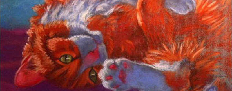 Cat Paintings Banner
