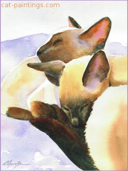 Cat Valentines Day Card