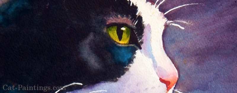 Cat Paintings Banner