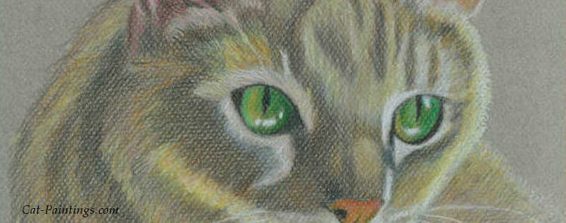 Cat Paintings Banner