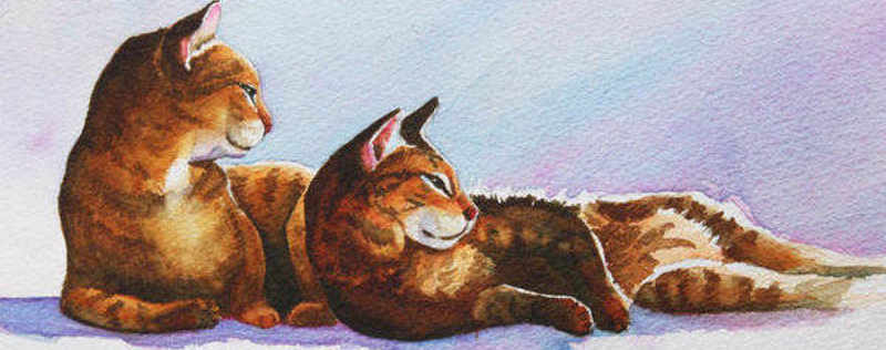 Cat Paintings Banner