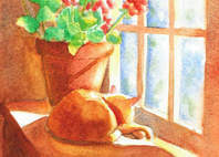 Widget and Geraniums