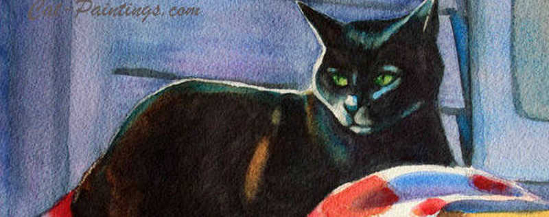 Cat Paintings Banner