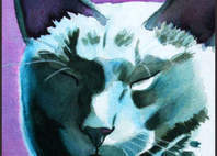 cat paintings maurina dozing