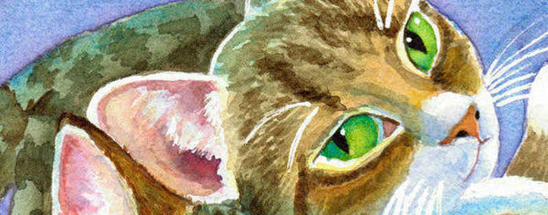 Cat Paintings Banner
