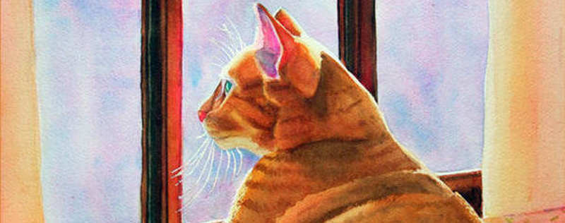 Cat Paintings Banner