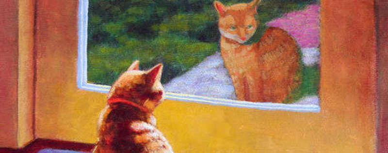 Cat Paintings Banner