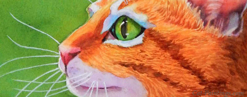 Cat Paintings Banner