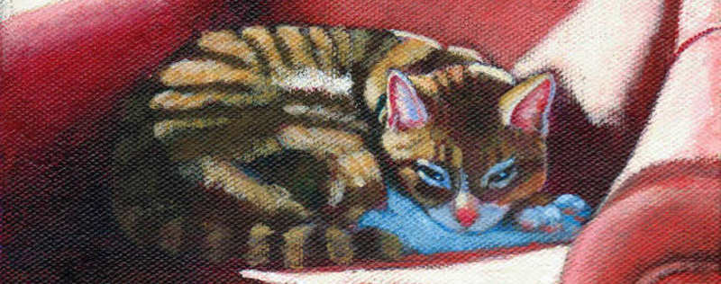 Cat Paintings Banner