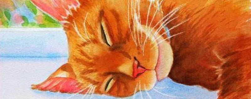 Cat Paintings Banner