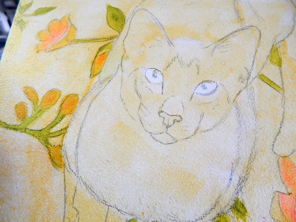 sketch of Chocolate Point Siamese on Ampersand Claybord
Rachel M Brown