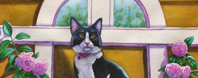 Cat Paintings Banner