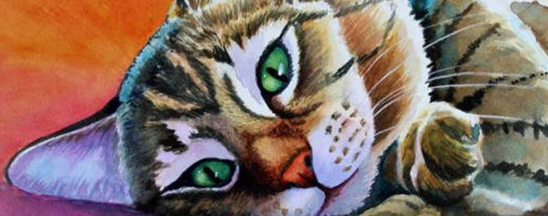 Cat Paintings Banner