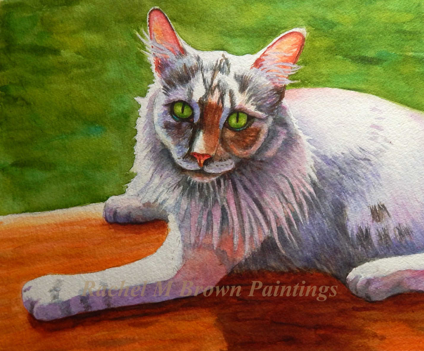 Dilute Tortie Art Commission