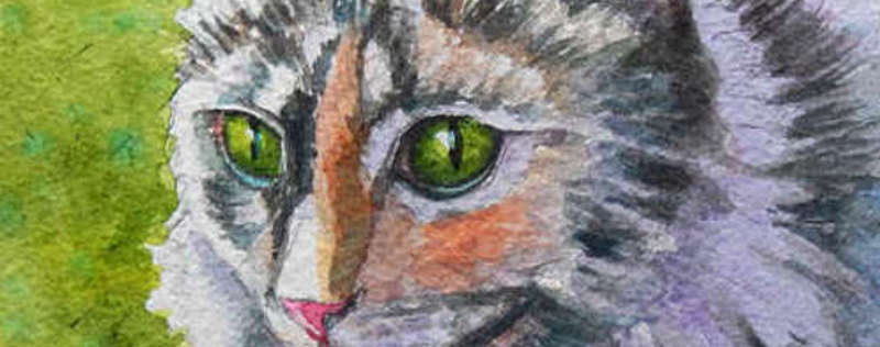 Cat Paintings Banner