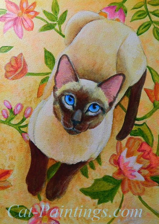 Siamese Cat Portrait