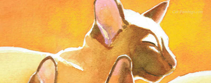 Cat Paintings Banner