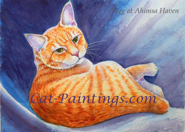 Ahimsa Animal Resue Fund Raiser