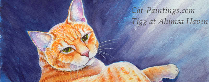 Cat Paintings Banner