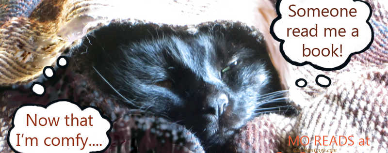 Cat Paintings Banner