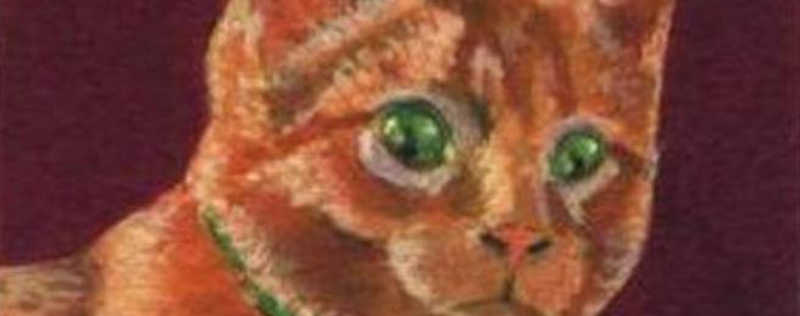 Cat Paintings Banner