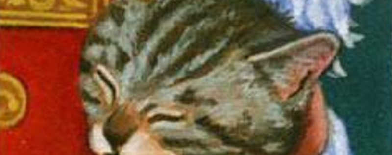 Cat Paintings Banner