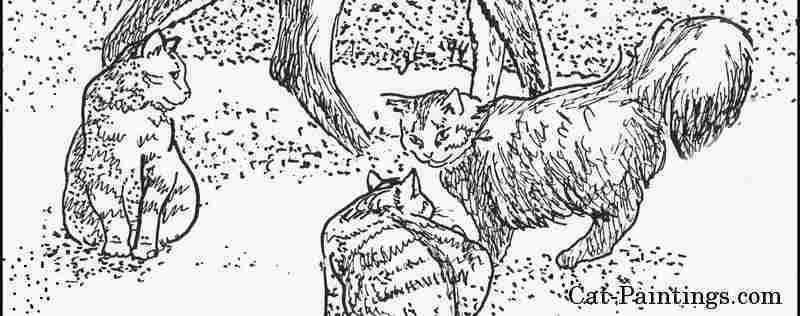 Cat Paintings Banner