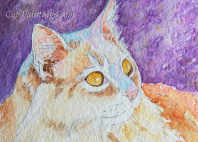 Pet Portraits from Photos