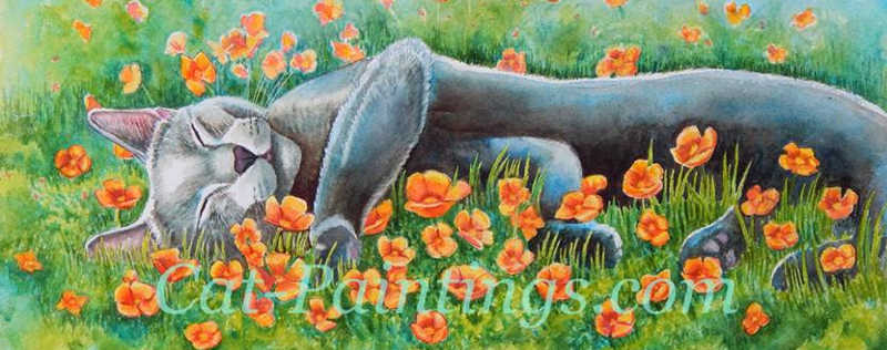 Cat Paintings Banner