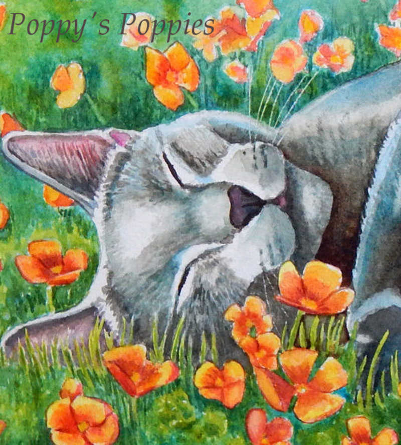 Portraits of Cats on sale