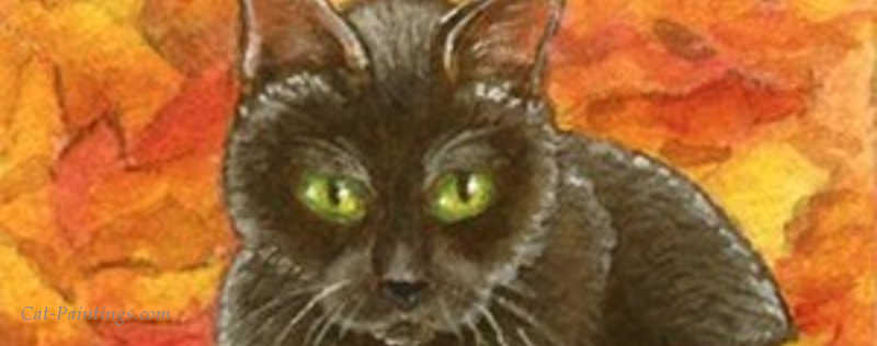 Cat Paintings Banner