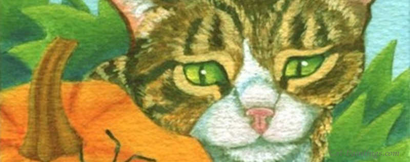 Cat Paintings Banner