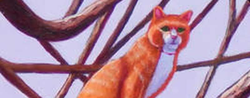 Cat Paintings Banner