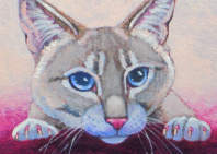 Small Format Art Cat