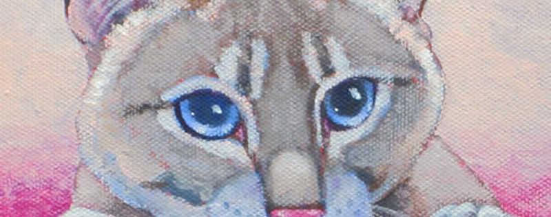 Cat Paintings Banner